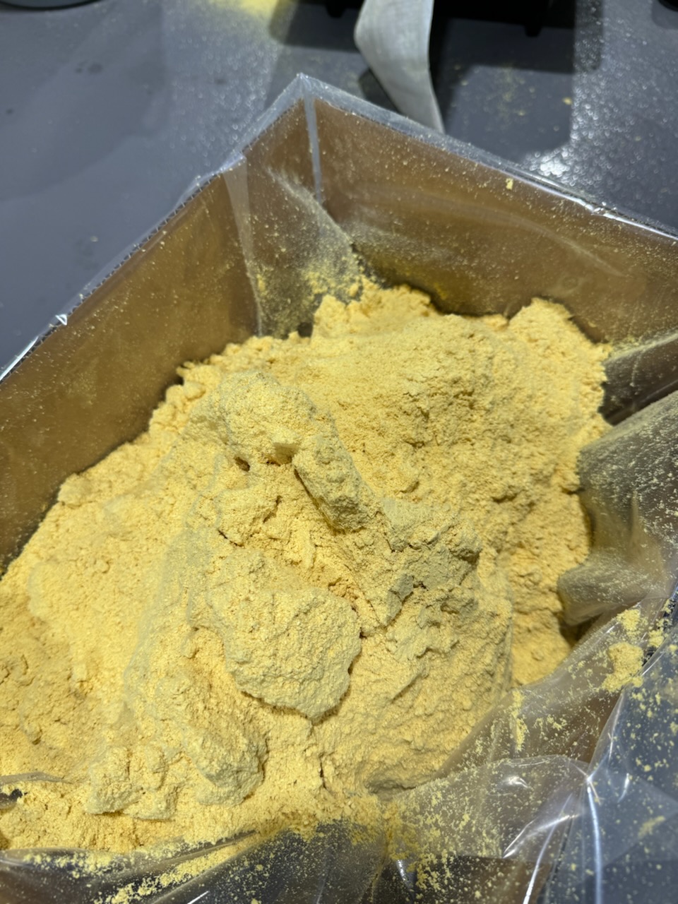 Finished freeze-dried Lion's Mane powder